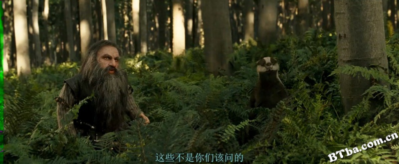 纳尼亚传奇2：凯斯宾王子/魔幻王国：卡斯柏王子/纳尼亚传奇：贾思潘王子
