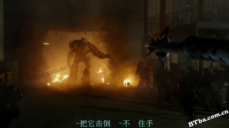 大黄蜂/Bumblebee