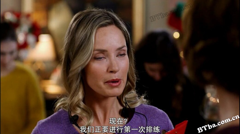 王子爱上我/皇宫圣诞节/Christmas at the Palace