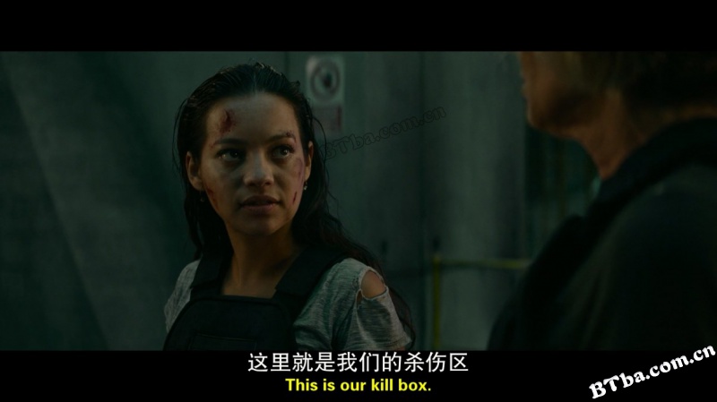 终结者：黑暗命运/未来战士：黑暗命运(港)/魔鬼终结者：黑暗宿命(台)/Terminator: Dark Fate