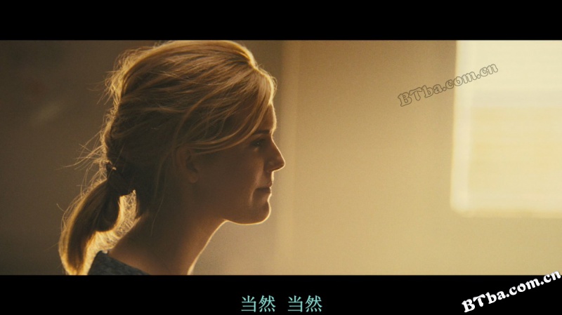 飓风营救3/Taken 3