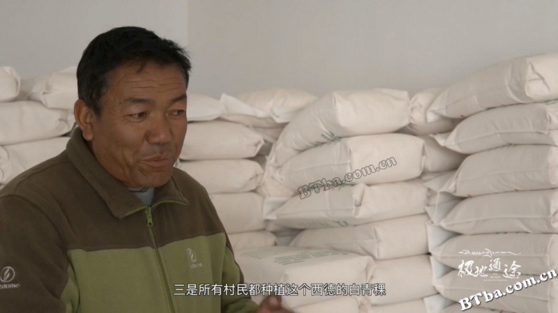 极地通途