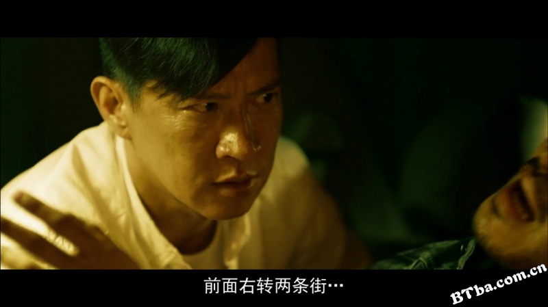 扫毒/变役/The White Storm