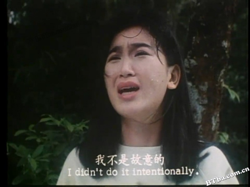 追女重案组/新飞女正传/伴我狂奔/追女重案組