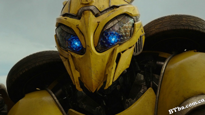 大黄蜂/Bumblebee