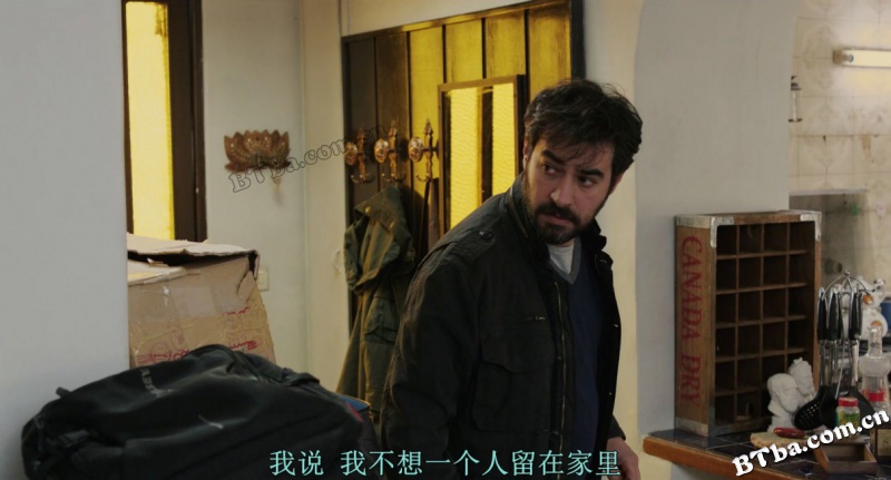 推销员/新居风暴(台)/伊朗式迁居(港)/فروشنده
