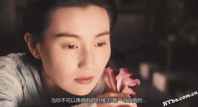 东邪西毒：终极版/Ashes of Time Redux
