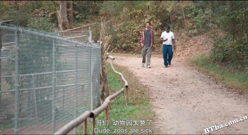 恶搞之路/Bad Trip