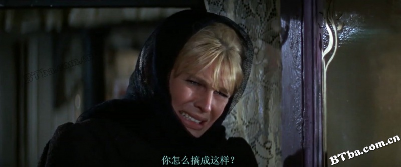 日瓦戈医生/齐瓦格医生/日瓦格医生/Doctor Zhivago 日瓦戈医生/齐瓦格医生/日瓦格医生/Doctor Zhivago