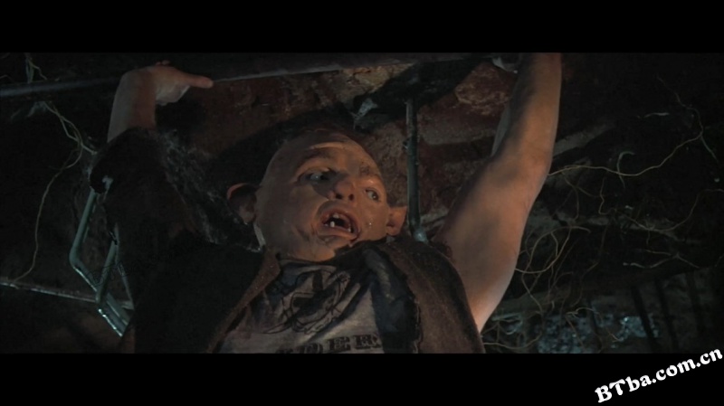 七宝奇谋/The Goonies