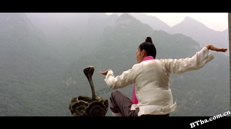 功夫梦/新龙威小子/功夫小子/The Karate Kid