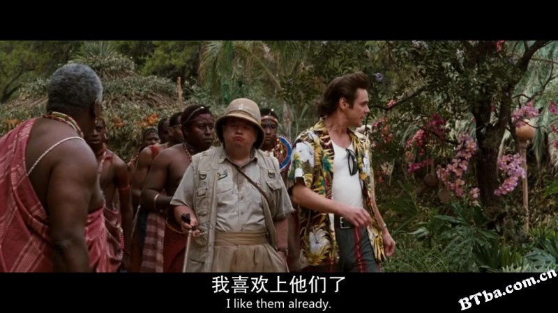 神探飞机头2/宠物侦探Ⅱ/王牌威龙2：非洲大疯狂