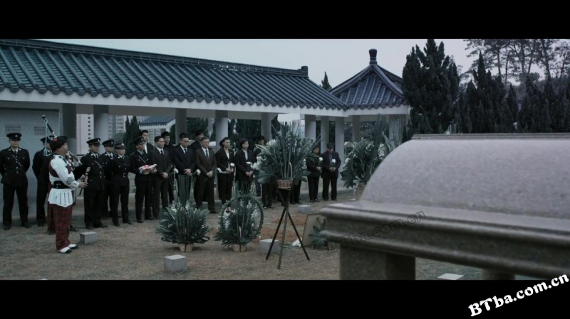 扫毒/变役/The White Storm
