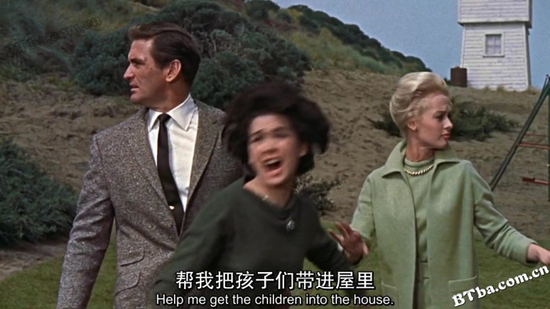 群鸟/鸟/Alfred Hitchcock's The Birds