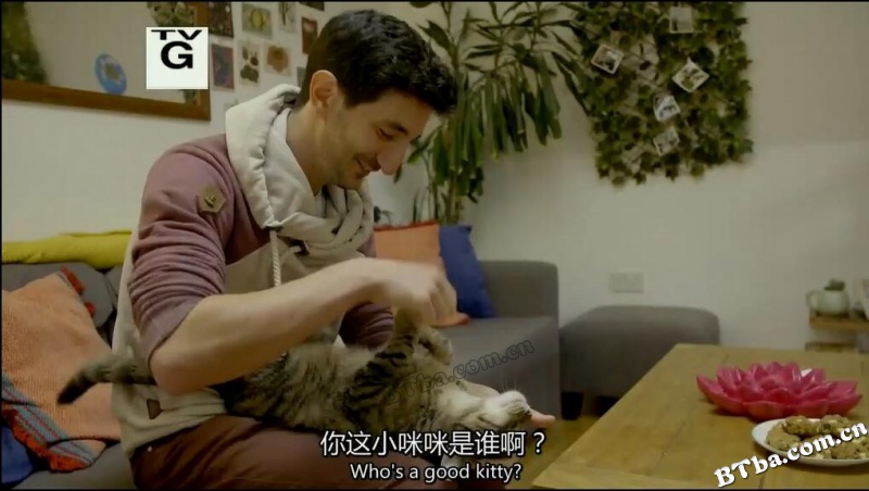 猫的故事/cat tales