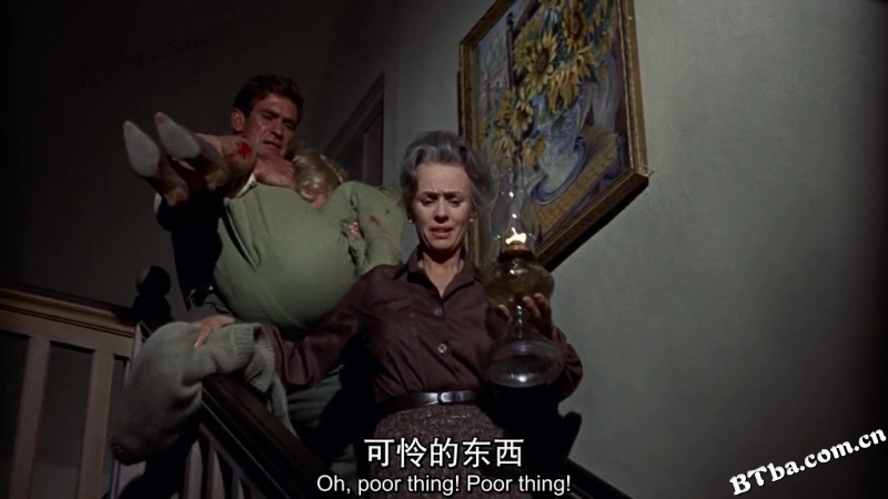 群鸟/鸟/Alfred Hitchcock's The Birds