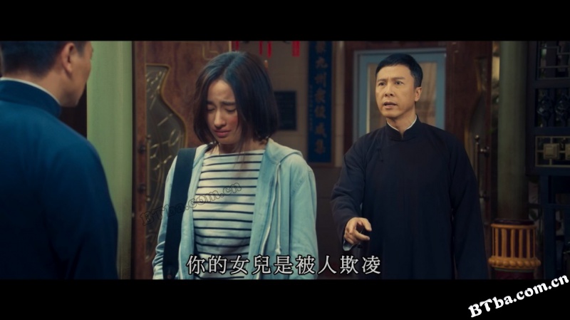 叶问4：完结篇/葉問4