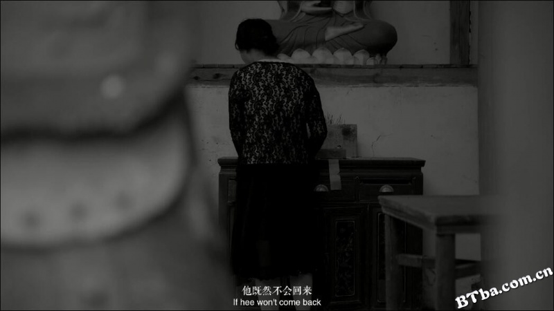 郁川浮游/The Day-Fly