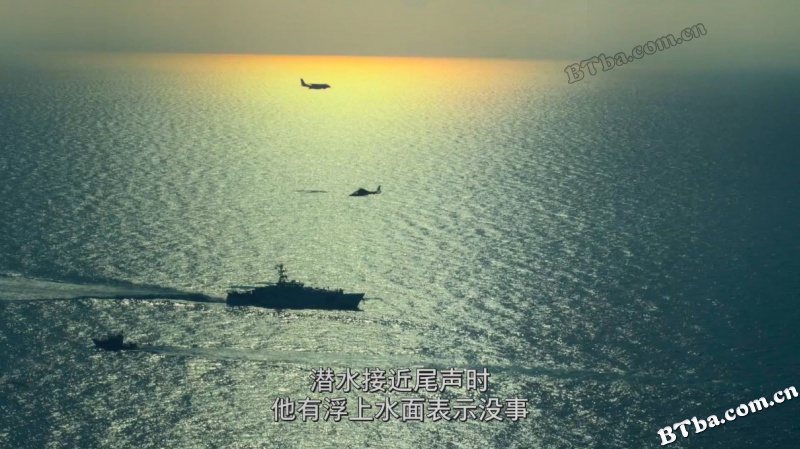 鲨鱼海洋：灭绝/Sharkwater Extinction