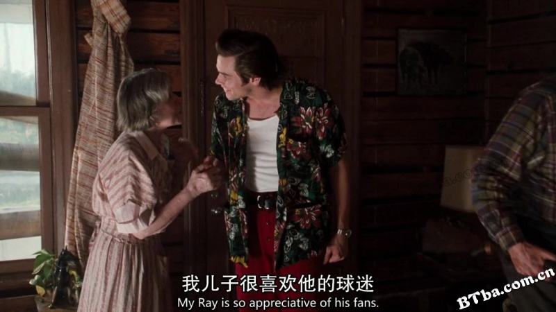 神探飞机头/王牌威龙/宠物侦探