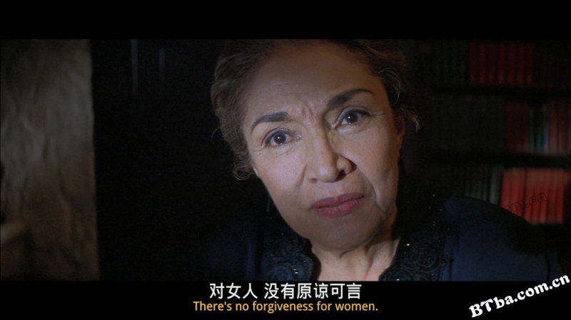 骏马/脱缰骏马/心灵神驹