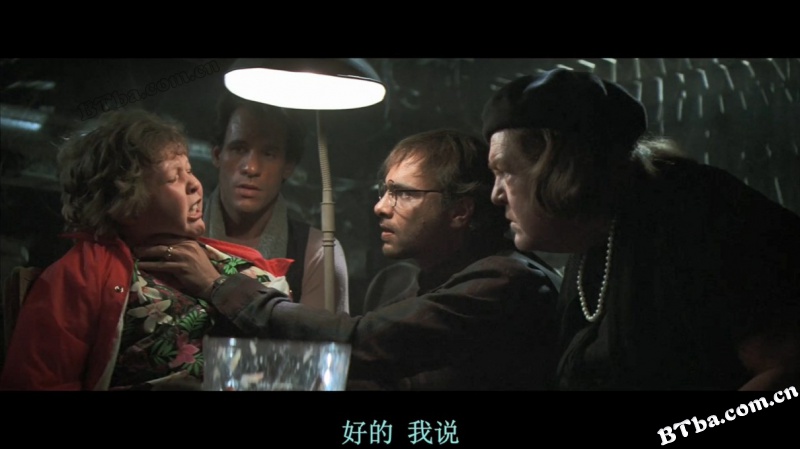 七宝奇谋/The Goonies