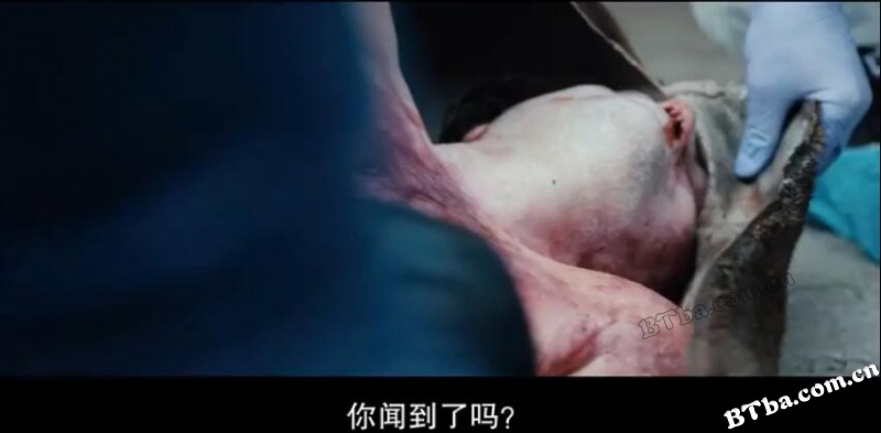 普拉吉布雷劳/Plagi Breslau