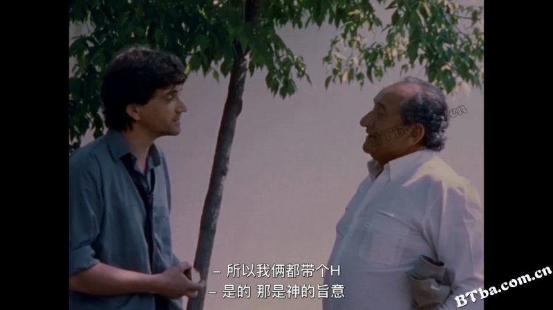 漫游肥皂剧/La Telenovela Errante