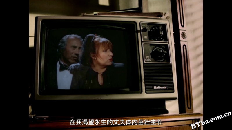 漫游肥皂剧/La Telenovela Errante