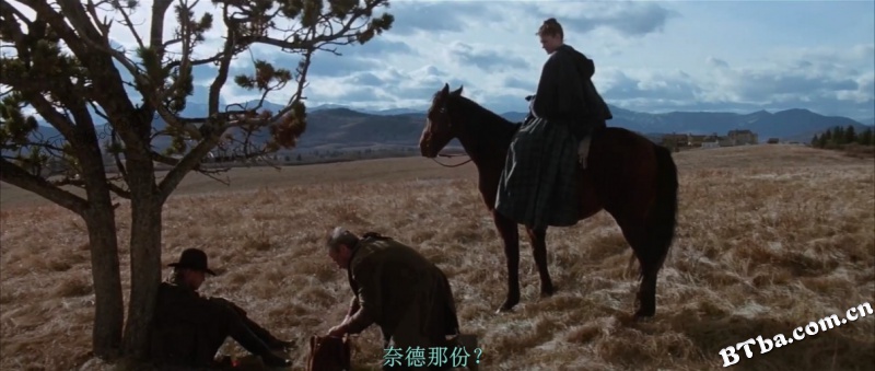 不可饶恕/豪情盖天/杀无赦/Unforgiven