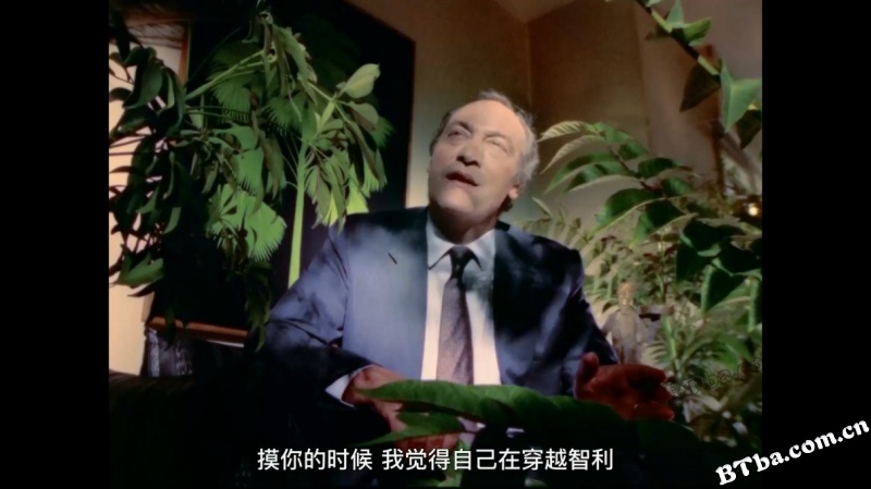 漫游肥皂剧/La Telenovela Errante