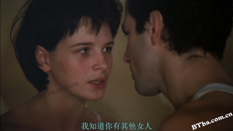 布拉格之恋/生命中不能承受之轻/沉重浮生