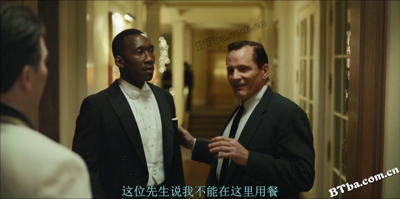 绿皮书/绿簿旅友(港)/幸福绿皮书(台)/Green Book