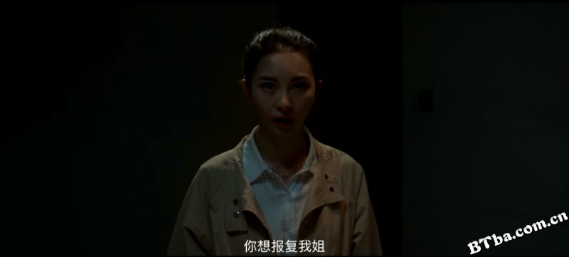 意境求生