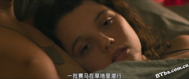 猫与月亮/The Cat and the Moon