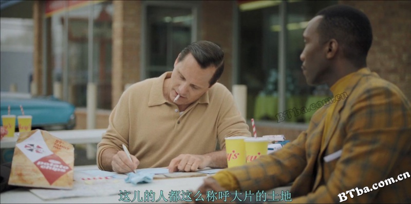 绿皮书/绿簿旅友(港)/幸福绿皮书(台)/Green Book