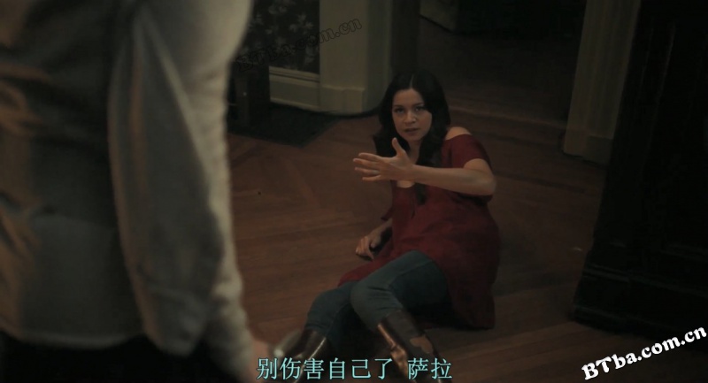 寂静的房子/一噤到底(台)/沉默的小屋/Silent House 寂静的房子/一噤到底(台)/沉默的小屋/Silent House