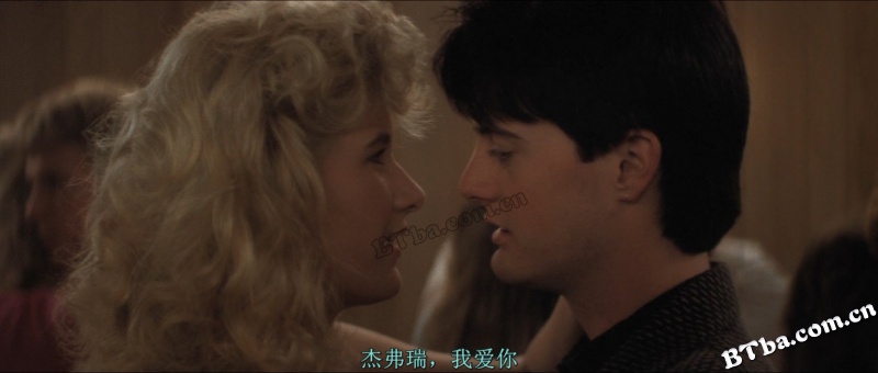 重访蓝丝绒/Blue Velvet Revisited