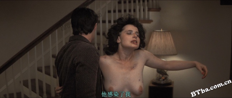 重访蓝丝绒/Blue Velvet Revisited