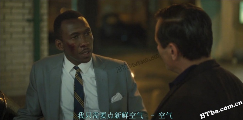 绿皮书/绿簿旅友(港)/幸福绿皮书(台)/Green Book