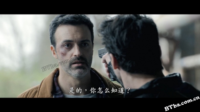 蓝与黑/Black and Blue