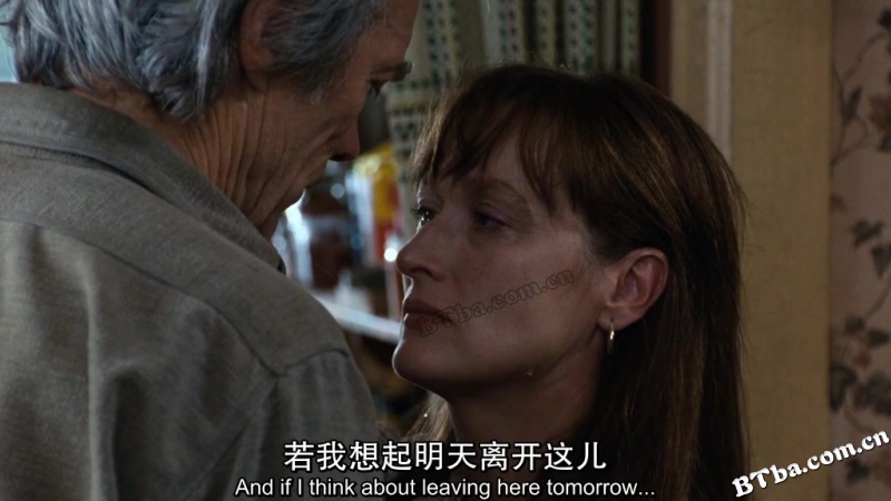 廊桥遗梦/麦迪逊之桥(港/台) 廊桥遗梦/麦迪逊之桥(港/台)