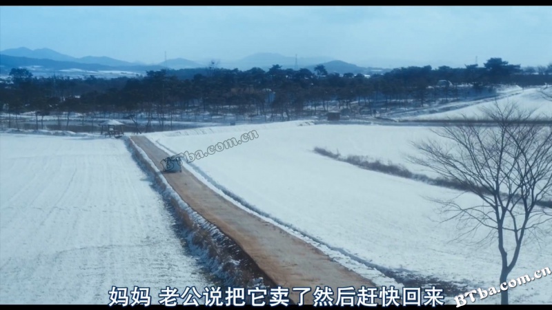 狼少年/狼少年：不朽的爱(台)/A Werewolf Boy