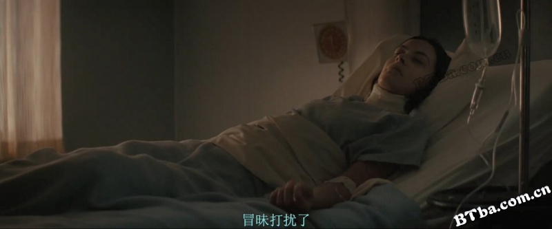 生人勿进(美版)/吸血儿凶((港)/噬血童话(台)/Let Me In