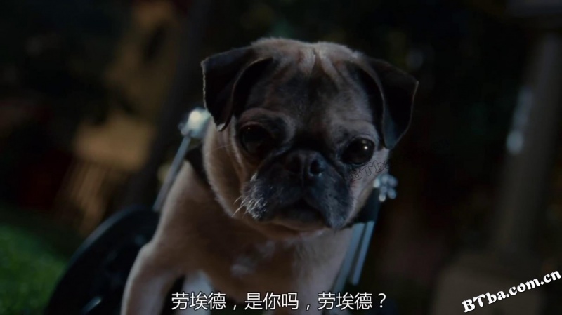 诺比特/我爱箩霸(港)/糯米正传(台)
