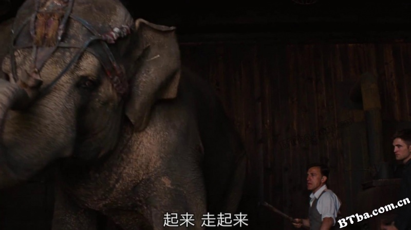 大象的眼泪/情约奇艺坊(港)/Water for Elephants