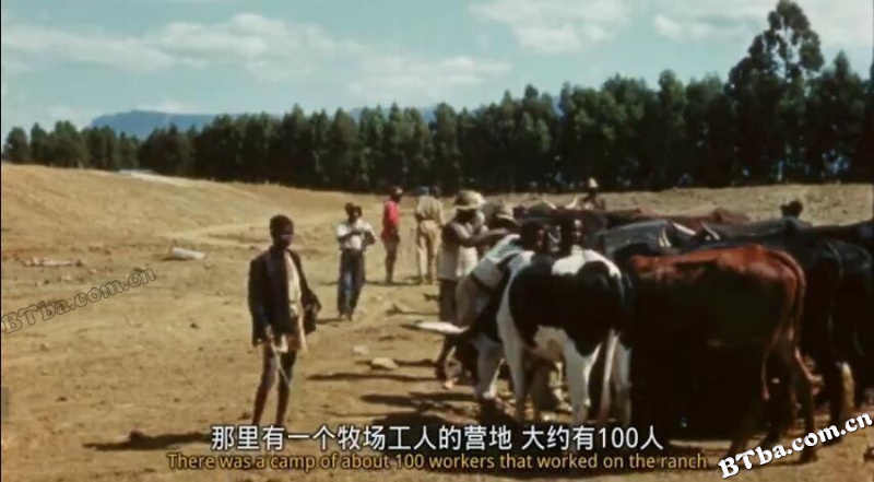 爱长颈鹿的女人/The Woman Who Loves Giraffes