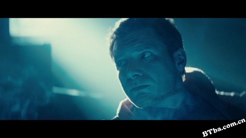 银翼杀手/公元2020/叛狱追杀令/Blade Runner