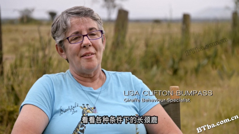 爱长颈鹿的女人/The Woman Who Loves Giraffes