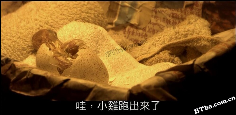 那个我最亲爱的陌生人/那個我最親愛的陌生人